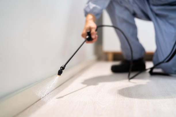 Licensed Mosquito Control service in Pullman, WA - Show Me Pest Control